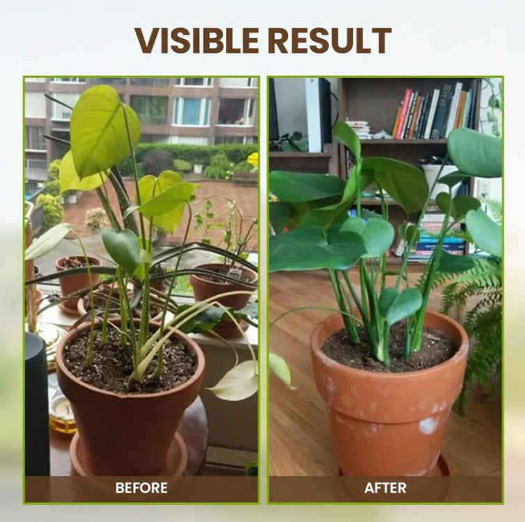 Organic Soil Activator & Fertilizer