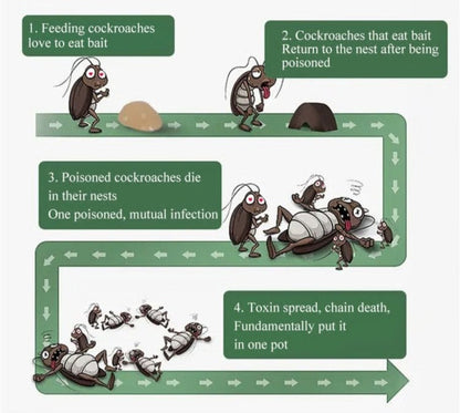 Potent Cockroach Bait for Extended Results